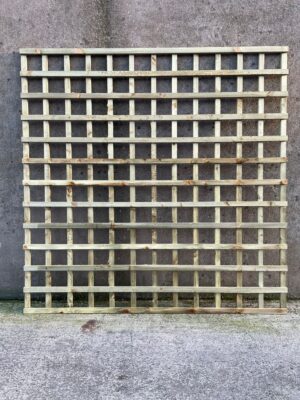 Trellis